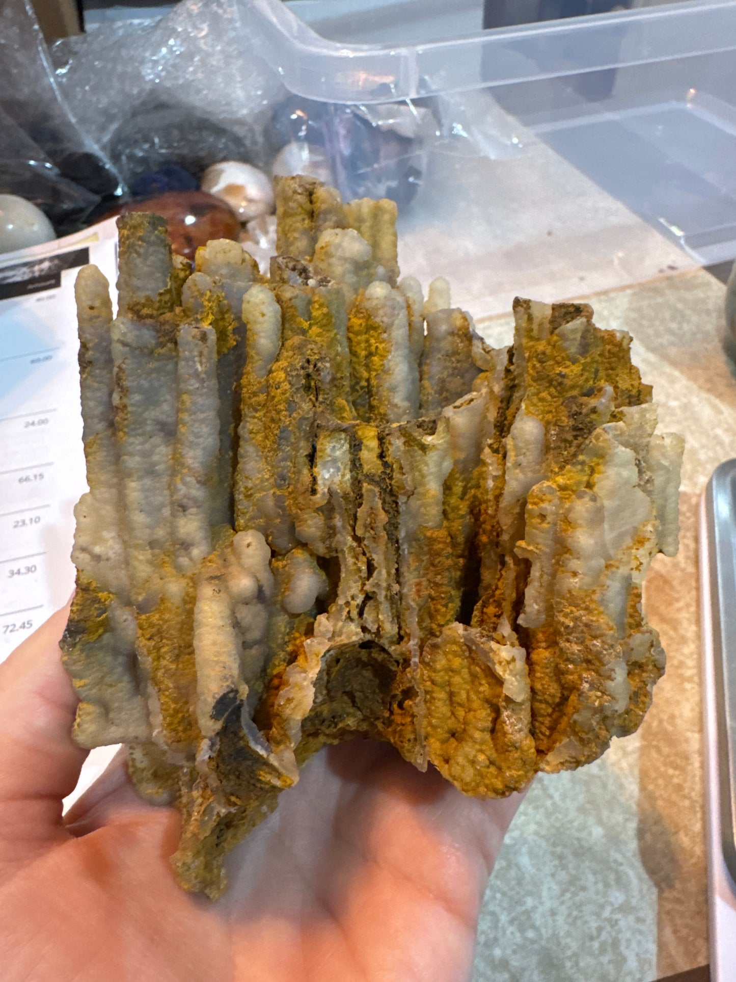 Fossilized “bamboo” agatized crystallized
